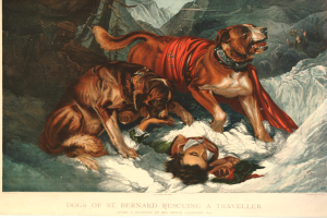 Zwei Bernhardiner-Hunde retten eine Person im Schnee, mit Bergen im Hintergrund und Text am unteren Bildrand.