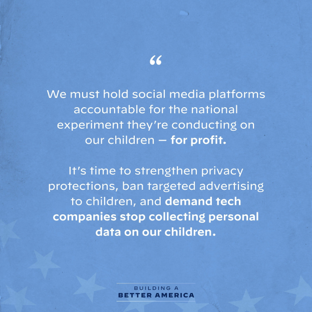 Plakat mit einem Zitat aus Building a Better America, das besagt, "Wir müssen soziale Medien-Plattformen für das nationale Experiment zur Rechenschaft ziehen, das sie an unseren Kindern durchführen - zum Profit.", dekoriert mit Sternen.