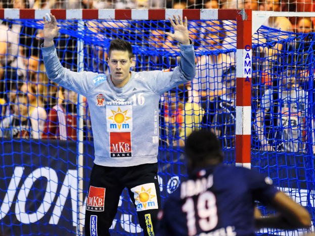 Ein Handballspieler hebt die Hände in der Nähe eines Tores, mit einer Menge im Hintergrund und einem 'Futsal-Weltmeisterschaft 2019'-Schild im Hintergrund.