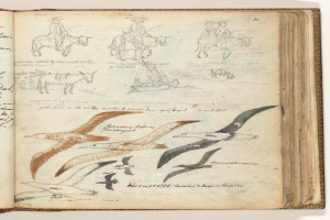 Ein aufgeschlagenes Buch mit Illustrationen von Vögeln im Flug und Menschen, die zu ihnen aufschauen.