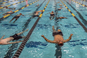 Eine Gruppe von Menschen, die in einem klaren Pool mit Bahntrennungen schwimmen, deren ausgestreckte Gliedmaßen Bewegung unter hellem Sonnenlicht erzeugen, das sich auf dem Wasser spiegelt.