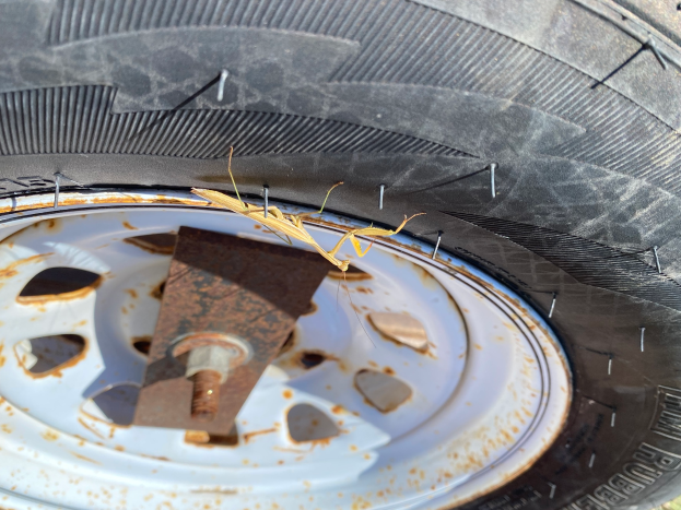 Ein Nahaufnahme eines verrosteten Reifens umgeben von Gras.