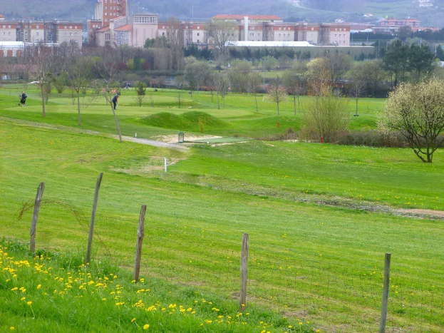 Ein Golfplatz mit grünem Gras, hohen Bäumen, gelben Blumen im Vordergrund, Gebäuden und einem klaren blauen Himmel im Hintergrund und Menschen, die Golf spielen.