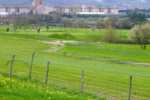 Ein Golfplatz mit grünem Gras, hohen Bäumen, gelben Blumen im Vordergrund, Gebäuden im Hintergrund und Menschen, die Golf unter einem klaren blauen Himmel spielen.