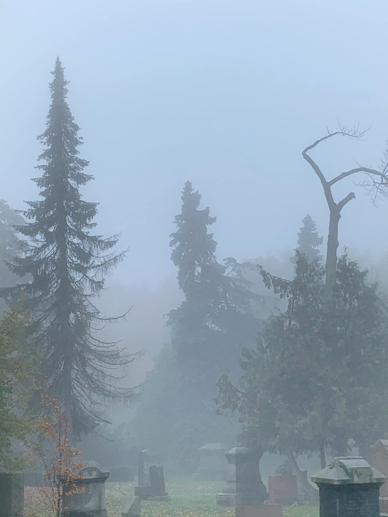 Ein nebliger Friedhof mit verstreuten Grabsteinen und Bäumen im Hintergrund unter einem trüben grauen Himmel.