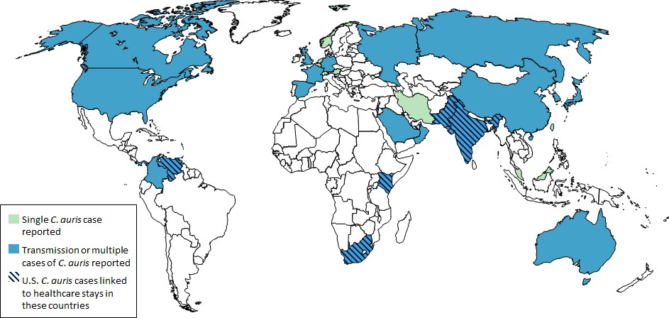 Weltkarte mit blauer und grüner Schattierung, die die Anzahl der Coronavirus-Fälle pro Land anzeigt, begleitet von erklärendem Text auf der linken Seite.