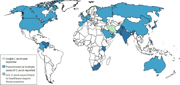 Weltkarte mit blauer und grüner Schattierung, die die Anzahl der Coronavirus-Fälle pro Land anzeigt, begleitet von erklärendem Text auf der linken Seite.