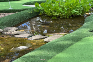 Miniatur-Golfplatz mit einem zentralen Teich, in dem eine schwimmende Ente zu sehen ist, umgeben von Gras, Pflanzen, Steinen, Bäumen und einem Pfahl.
