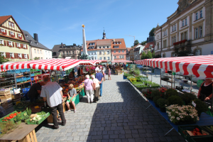 Ein lebendiger Markt in Heidelbergs altem Stadtkern mit Menschen, die gehen, sitzen und stehen, umgeben von Zelten mit Körben voller Gemüse vor einem Hintergrund aus Gebäuden, Bäumen und einem klaren blauen Himmel.