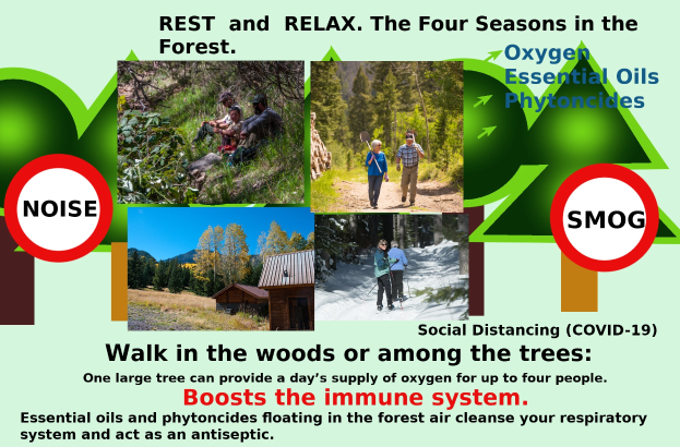 Plakat mit der Aufschrift "Ruhe und Entspannung die vier Jahreszeiten im Wald" mit Bildern von Menschen, die durch einen bewaldeten Bereich mit Bäumen und einem Haus gehen, bewirbt Entspannung in der Natur.