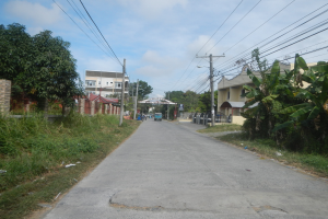 Straße mit Fahrzeugen, Gras, Pflanzen, Bäumen, Strommasten, Stromleitungen, Gebäuden und einem Tor unter einem bewölkten Himmel mit einem "Grundstück / Land / Farm zum Verkauf Cavite > Imus 1"-Schild an der Seite.